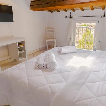 Domus Dantis - Italian Homing